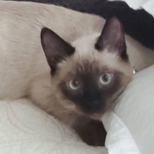 Meet your Posher, Sharon